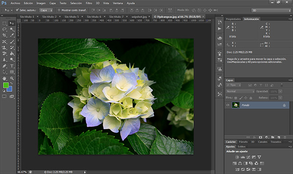 Adobe Photoshop