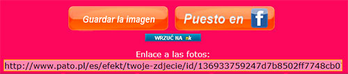 Pato - Guardar imagen