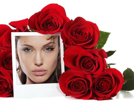 Cuadro de foto con rosas