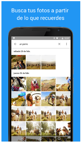 Organízate con Google Fotos