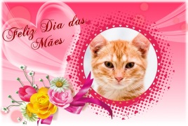 dia-de-la-madre