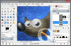 gimp-capas