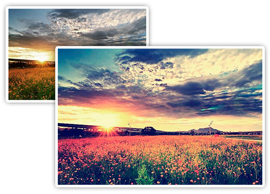 Filtros para fotos con Rollip