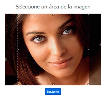 Seleccione un área de la imagen