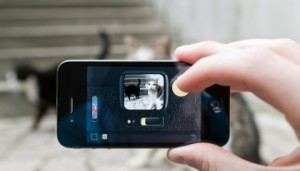 tomando fotografía
